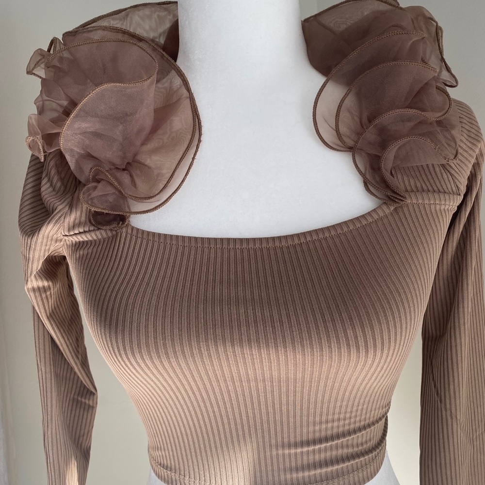 Zara Ruffle Organza Top NWT - Picture 8 of 10